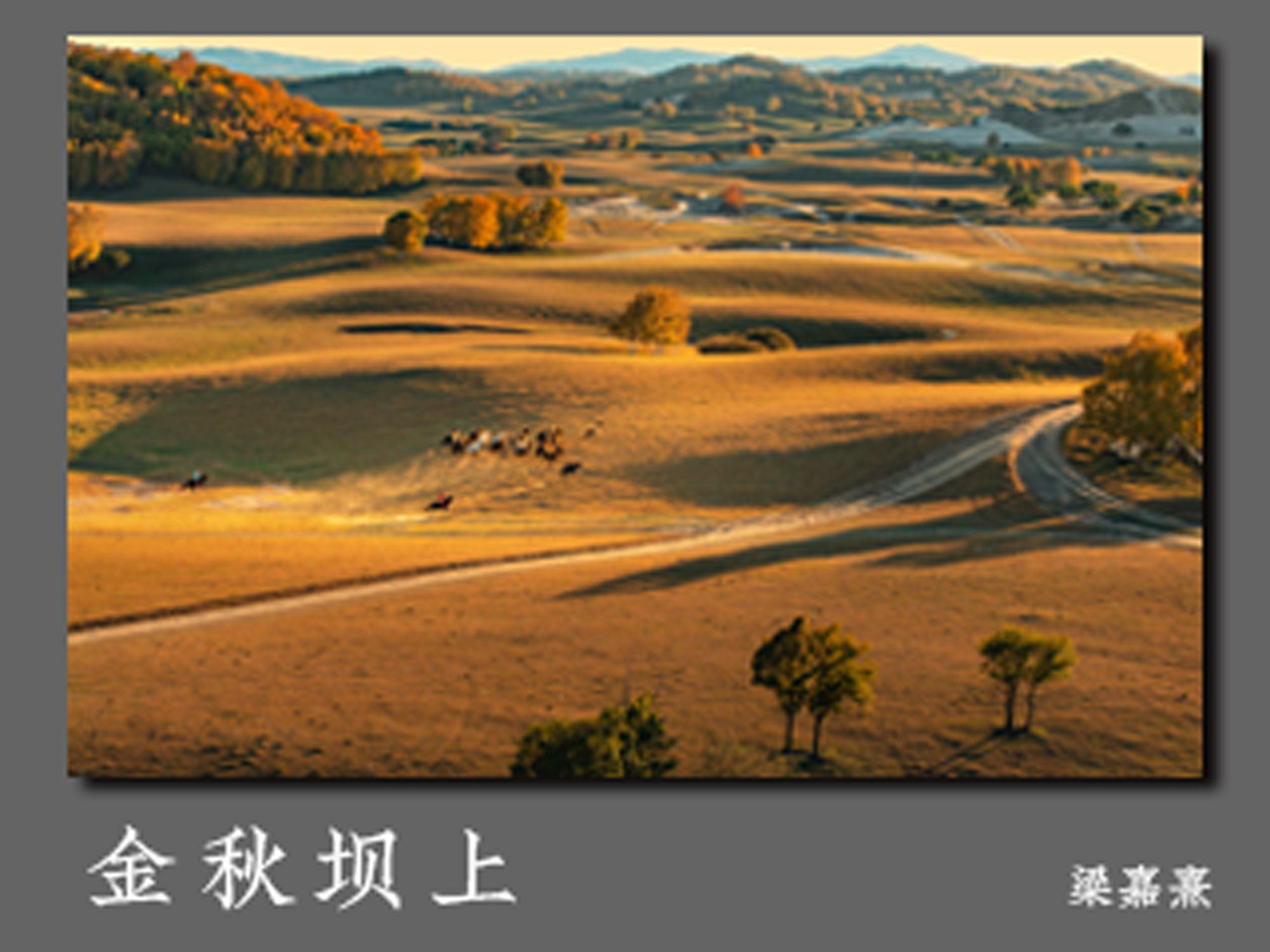 金秋坝上