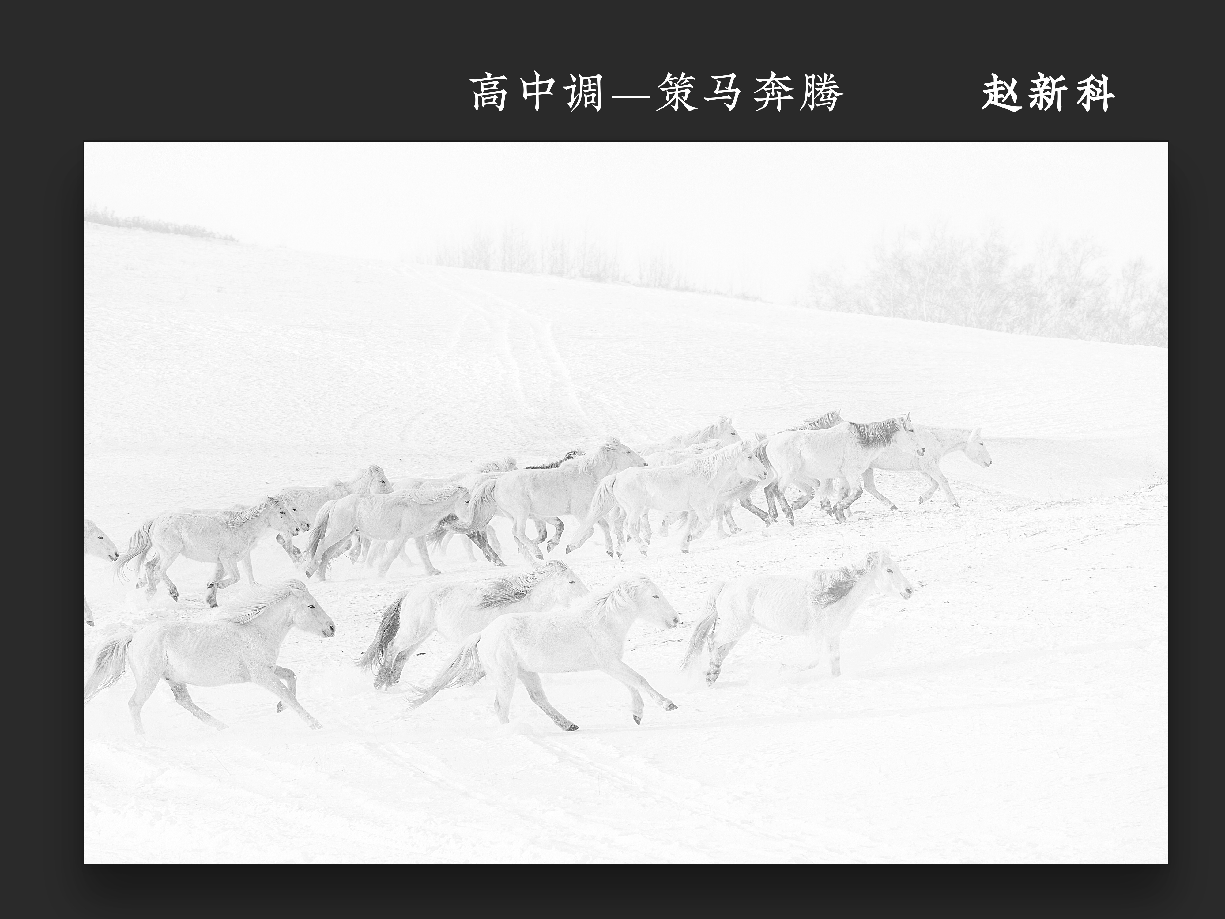 高中调——策马奔腾