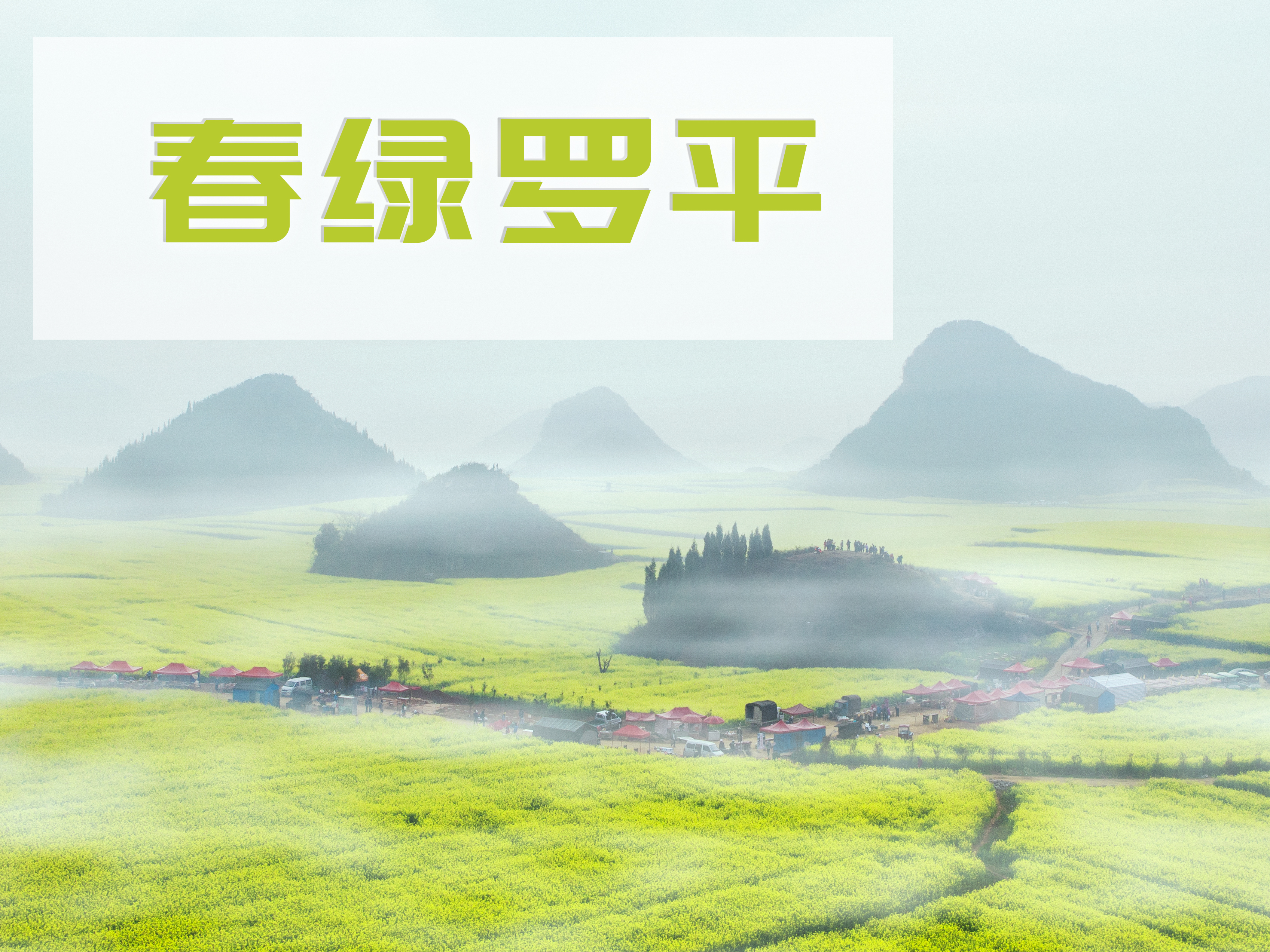 春绿罗平后期指南