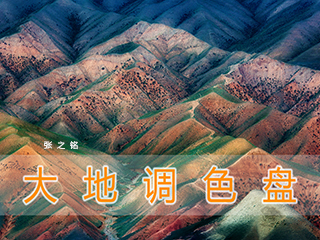大地调色盘