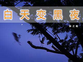 白天变黑夜