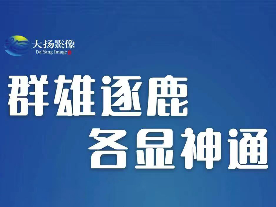 群雄逐鹿 各显神通