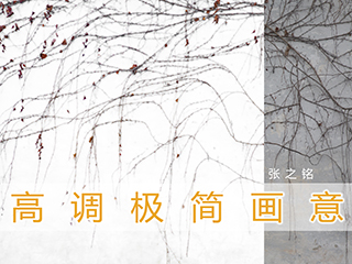 高调极简画意