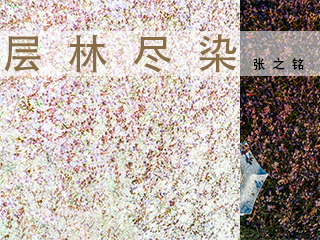 层林尽染