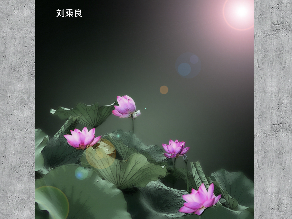 梦幻荷花的超级制作