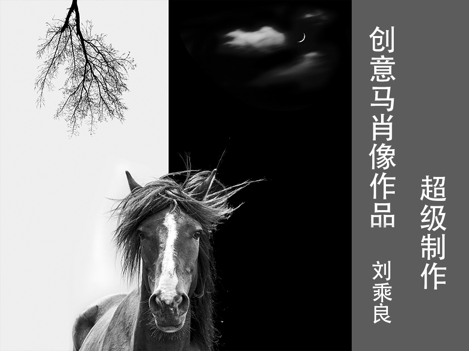 创意马肖像作品超级制作