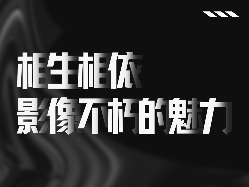 相生相依，影像不朽的魅力