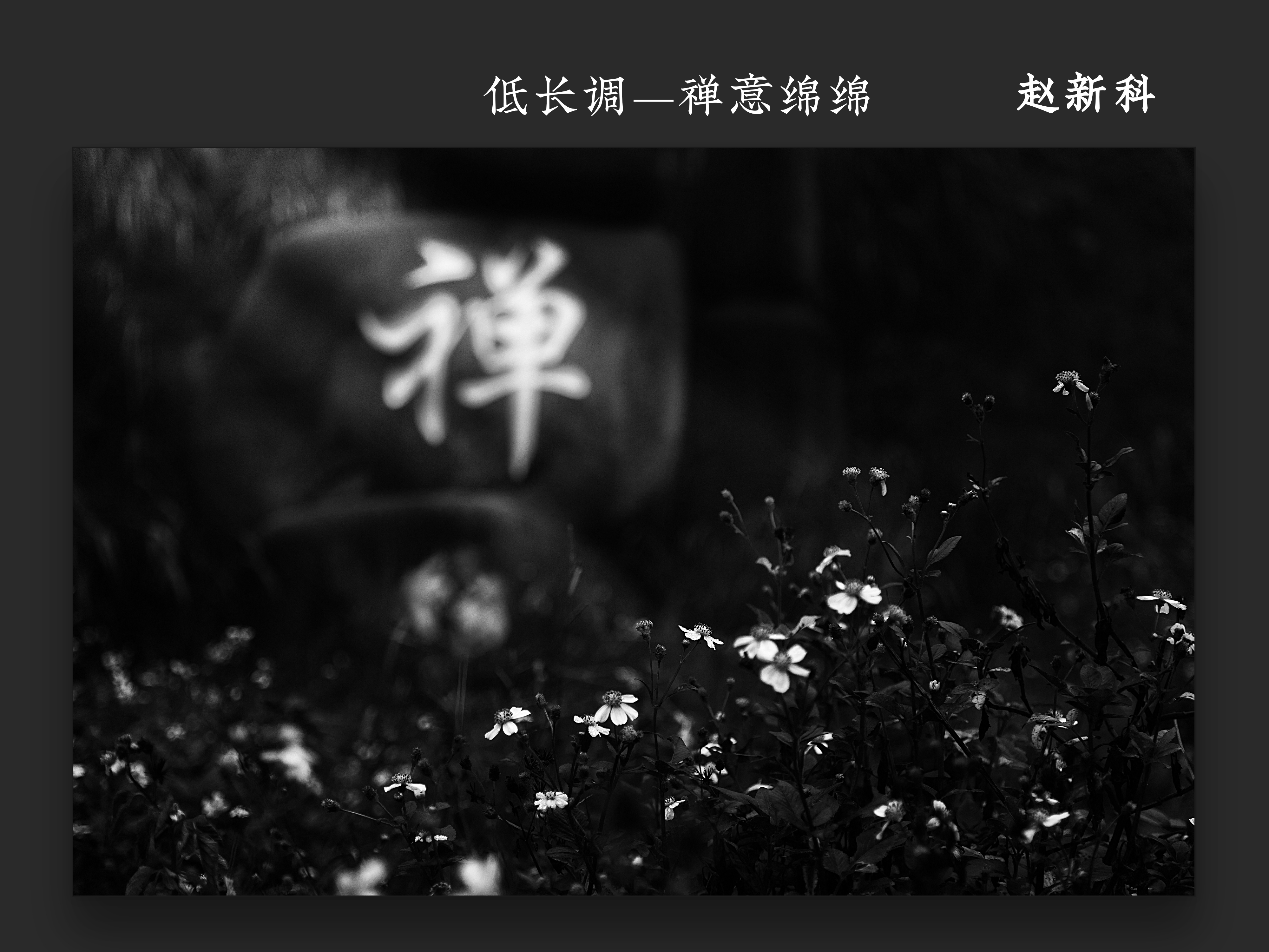 低长调——禅意绵绵