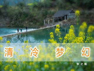 清冷梦幻