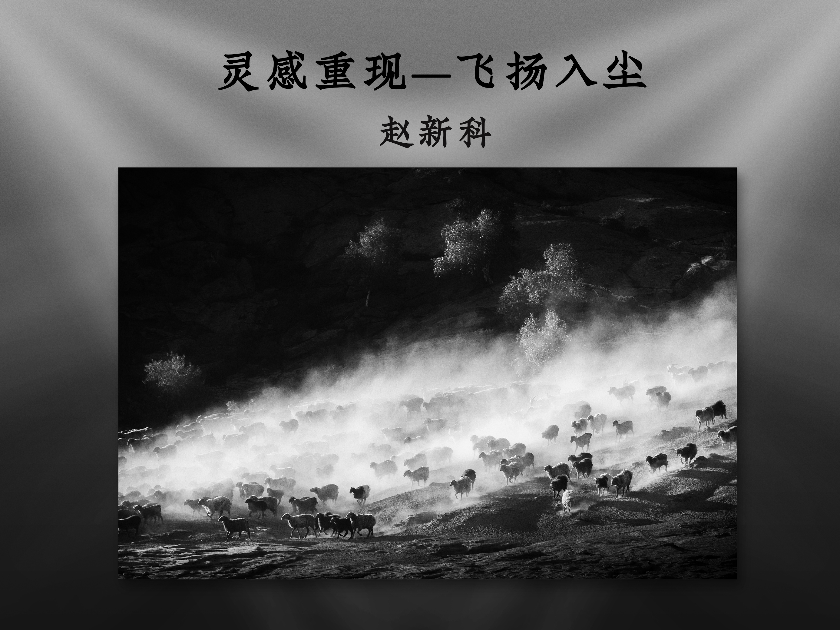 灵感重现——飞扬入尘