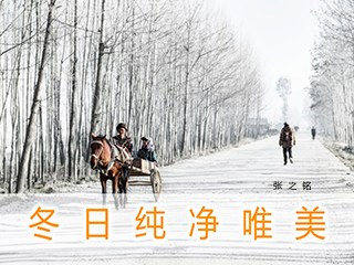 冬日纯净唯美